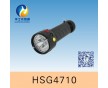 HSG4710 / MSL4710多功能袖珍信號(hào)燈