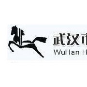 武漢市黑飛馬化工原料有限公司