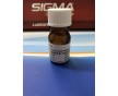 高活性Brdu廠家5-溴-2-脫氧尿苷sigma現(xiàn)貨