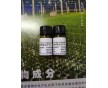 生物制劑β-淀粉樣蛋白片段25-35價格A4559廠家直銷