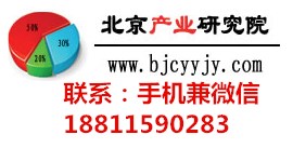 中國電腦包市場營銷模式及前景戰(zhàn)略分析報告2019-2025年